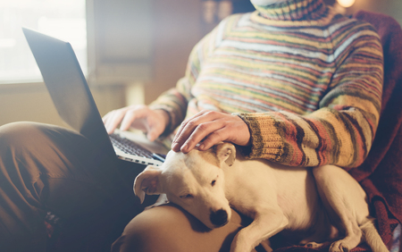 Man with his dog and laptop works at homeの写真素材