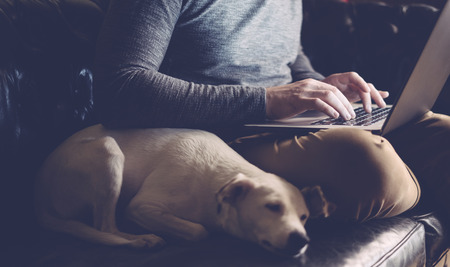 Man with his dog and laptop works at homeの写真素材