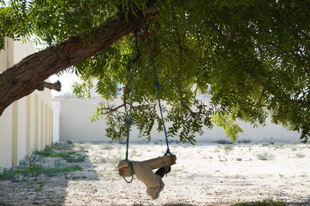 A Dirty Children Tree Swing. Wooden Swing Still Under The Trees In The Fall Leaves And Winter....
