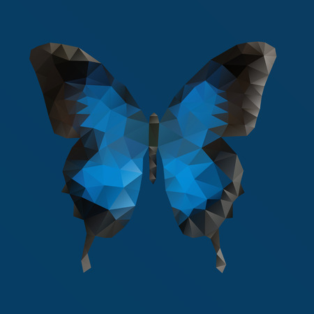 Dark blue vector butterfly in polygonal techniqueのイラスト素材