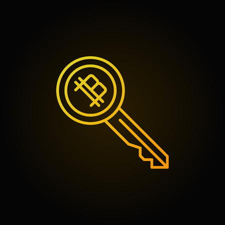 Colorful cryptocurrency key vector concept outline icon or logoのイラスト素材