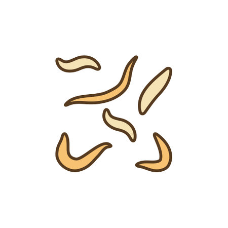 Roundworm Infection vector Ascarids concept colored iconのイラスト素材