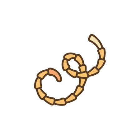 Eucestoda Tapeworm vector concept colored modern iconのイラスト素材