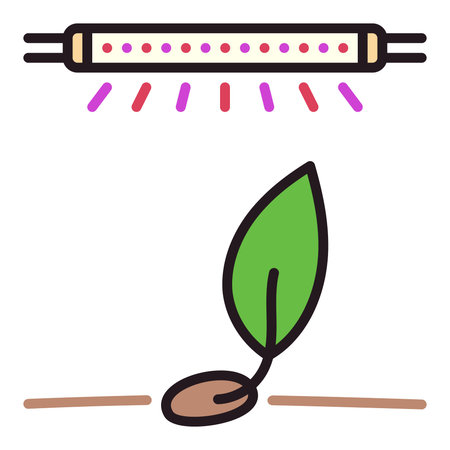 Sprout and Phytolamp vector Grow Light concept colored icon or symbolのイラスト素材