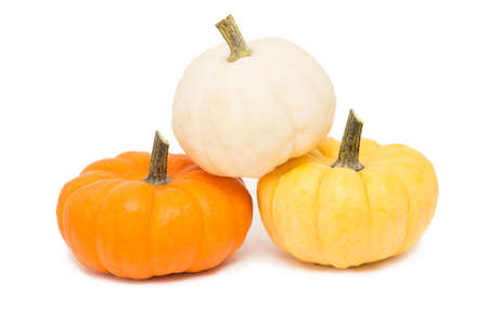 Three decorative pumpkins isolated on white backgroundの写真素材
