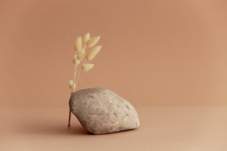 Stone with dry Lagurus ovatus on a beige background. Natural brown stone mockup and bouquet naturali Lagurus ovatus,hare tail. Podium for product presentation .の写真素材