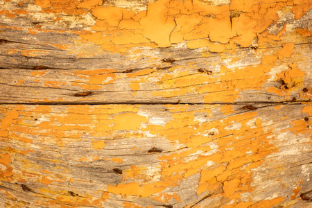 Old yellow wooden surface with shabby background paint. Yellow cracked paint texture on a wooden sheet. Fragment of old wooden doors with rusty nailsの写真素材