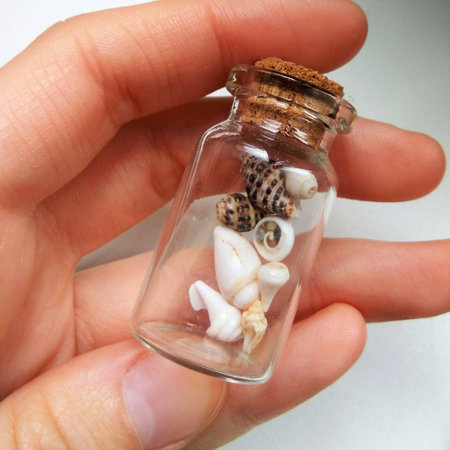 Little cute glass jar with seashells insideの写真素材