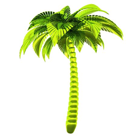Palm tree green metallic stylized tropical plant nature. Exotic tourism symbol design element polished. 3d renderingの写真素材