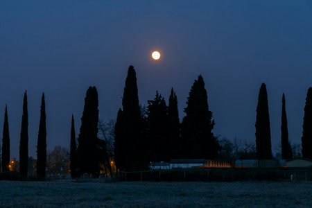 Illuminated moon over the Palmanova cemetery, Udine, Italy. Cypresses. Full moon in the night. Night photography.の写真素材