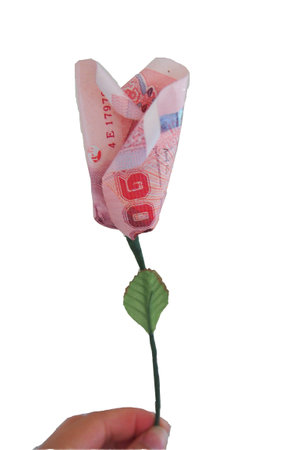 money flowerの写真素材