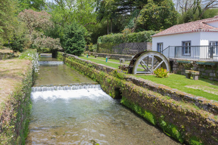 A small river running through a park in Furnas town  San Miguel, Azoresの写真素材