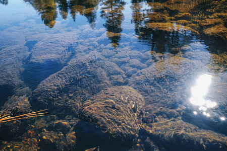 Clean clear water, algae, mountain river cleanliness