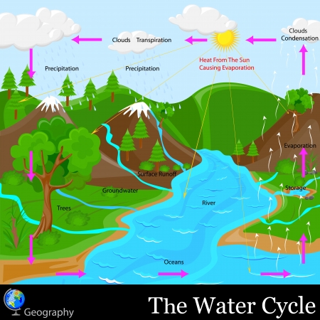Water Cycleのイラスト素材