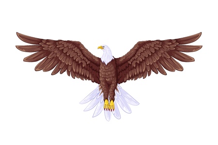 Flying Eagle Flying Eagle