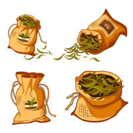 Different variety of green tea for refreshment drinkのイラスト素材
