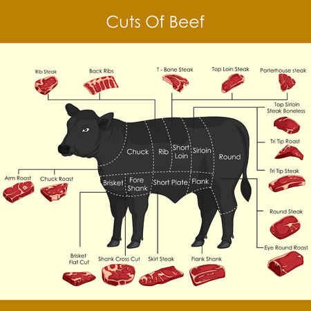 vector illustration of different cuts of Beefのイラスト素材
