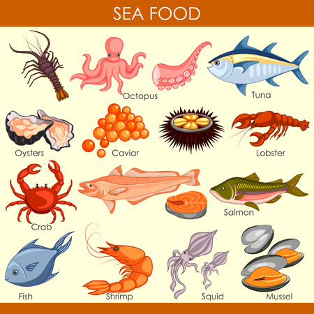 vector illustration of different variety of Sea Foodの素材 [FY310117399533]