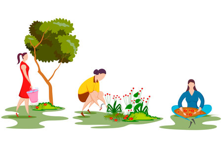 worker doing Agriculture and Farming for Agribusiness in Rural landscapeのイラスト素材