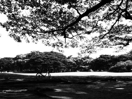 Aloneの写真素材