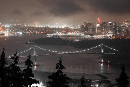 Night view of Bosphorus Strait and Istanbul City, Turkey.