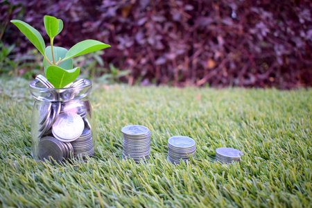 Investment, business and finance concept. Save money, invest and grow richの写真素材