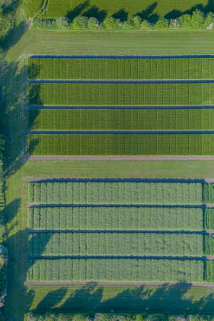 Abstract aerial view of rural landscape with agricultural fields by experimental station.の写真素材