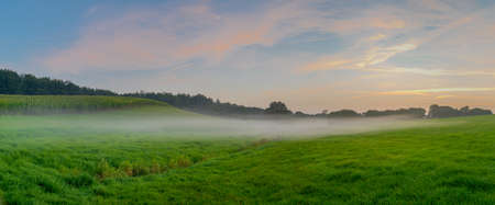 Misty autumn evening over countryside with maize field in background. Panorama view of rural landscape in foggy autumn evening.の写真素材