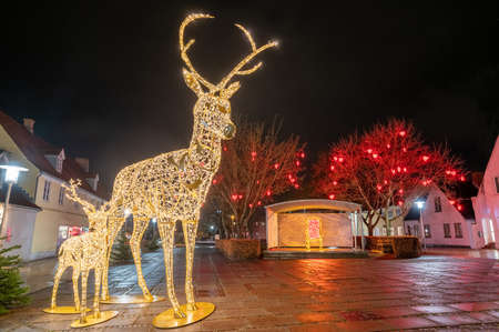 Christmas installation - deer on night city background. Christmas deer installation in Sonderborg, Jutland, Denmark, Europe. Decoration made of led light.の写真素材