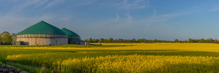 Panorama view of countryside with biogas plant. Yellow flowering rapeseed field with agricultural factory in the countryside.Renewable energy from biomass.の写真素材