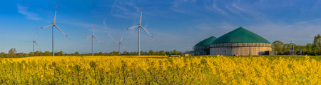 Panorama view of countryside with biogas plant and winmills. Yellow flowering rapeseed field with agricultural factory in the countryside. Renewable energy from biomass and wind turbinesの写真素材