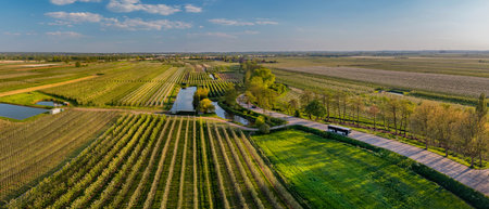 Aerial view of the vineyards in Poland. Spring time.の写真素材