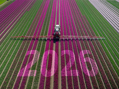 Blooming flower field of tulips with tractor spraying rows of pink, purple crops, featuring year 2026. Text 2026 integrated into landscape, representing innovation in agriculture,の写真素材