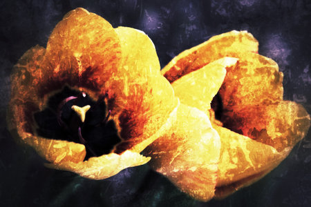 textured tulip 