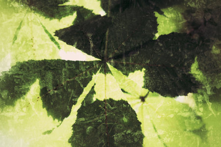 grunge leaf background