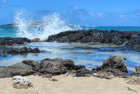 Tropical beach wallpaper