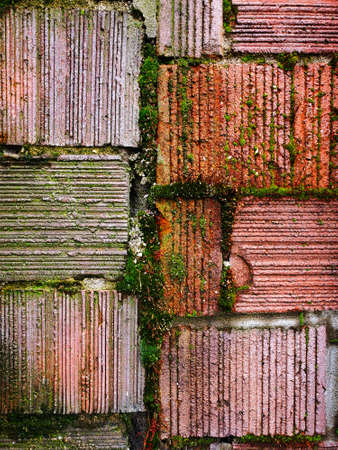 Brick wall backgroundの写真素材