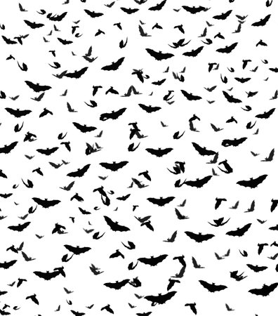 Black and white bat pattern backgroundの写真素材