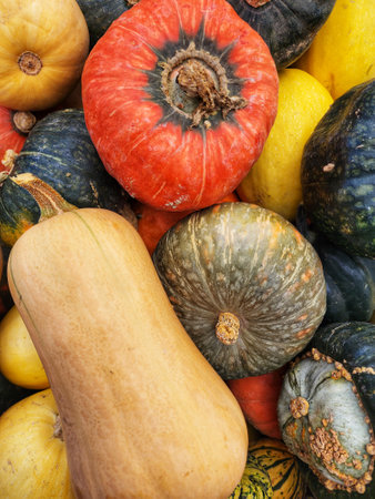 Fall backgroundの写真素材