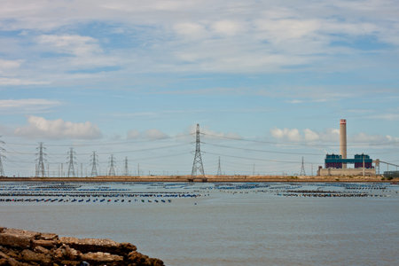 petrochemical plant