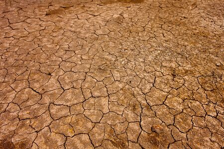 soilの写真素材