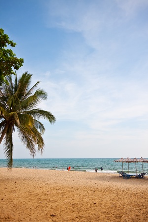 tropical holidaysのeditorial素材