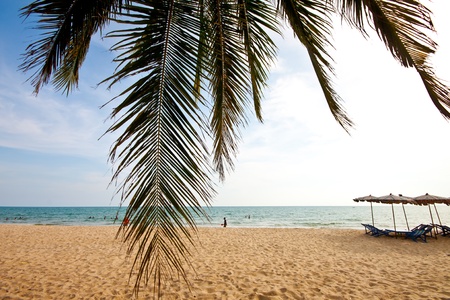 Relax at the beach のeditorial素材