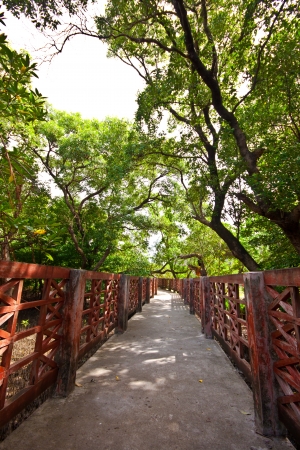 bridge in Parkの写真素材