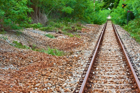 old rail in the middle of the forest のeditorial素材