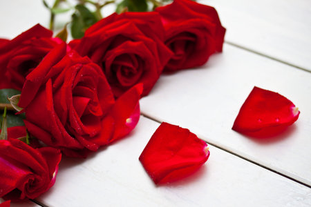image of roses and petals on white background 