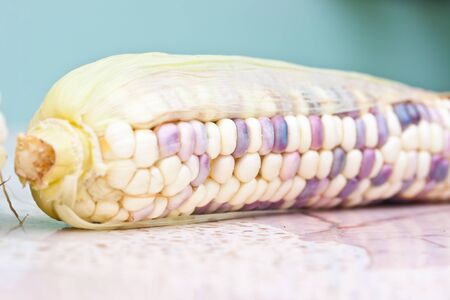 corns closeupの写真素材