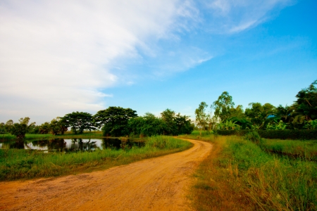 field and the beautiful blue skyの写真素材