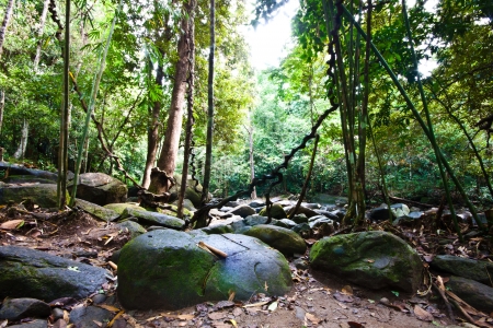 waterfall in thai national park  In the deep forest on mountain の写真素材