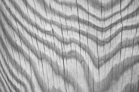 wood texture